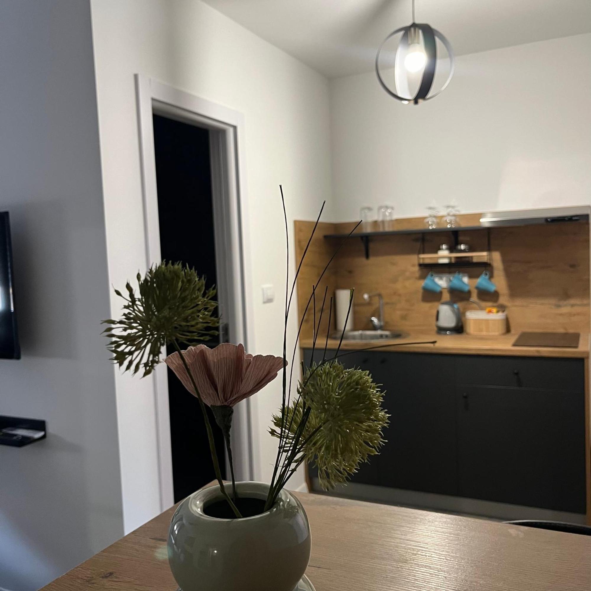 Beoair Apartments Surcin Экстерьер фото