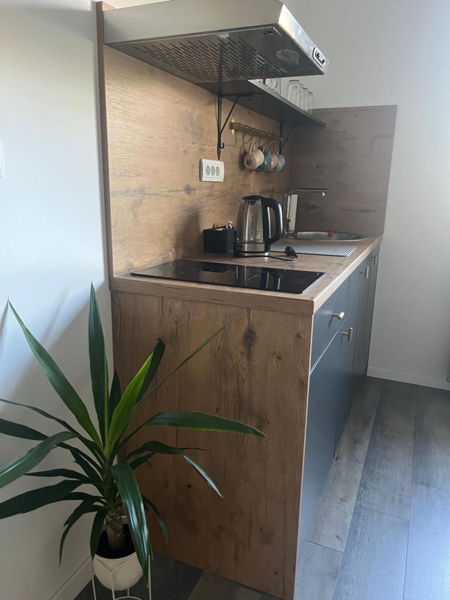 Beoair Apartments Surcin Экстерьер фото